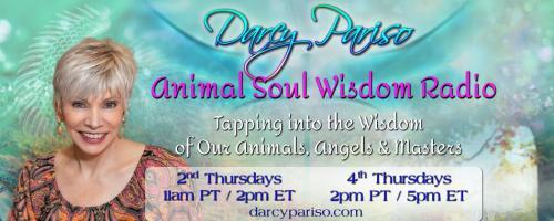 Animal Soul Wisdom Radio: Tapping into the Wisdom of Our Animals, Angels and Masters with Darcy Pariso : A Healer's Journey with Laurie Comeau