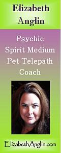 The  Elizabeth   Anglin  Show - Your Psychic Connection to Your Soul's Path